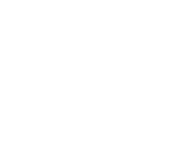 napoleon