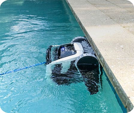 Maytronics Dolphin robotic pool cleaner cleaning a residential backyard pool