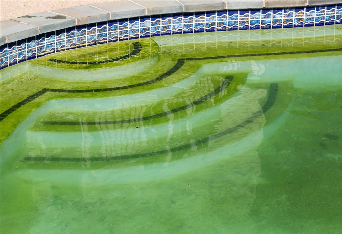 Yellow-green algae film coating the steps of a backyard swimming pool, the kind of growth Cincinnati Pool and Patio helps Greater Cincinnati homeowners identify and treat